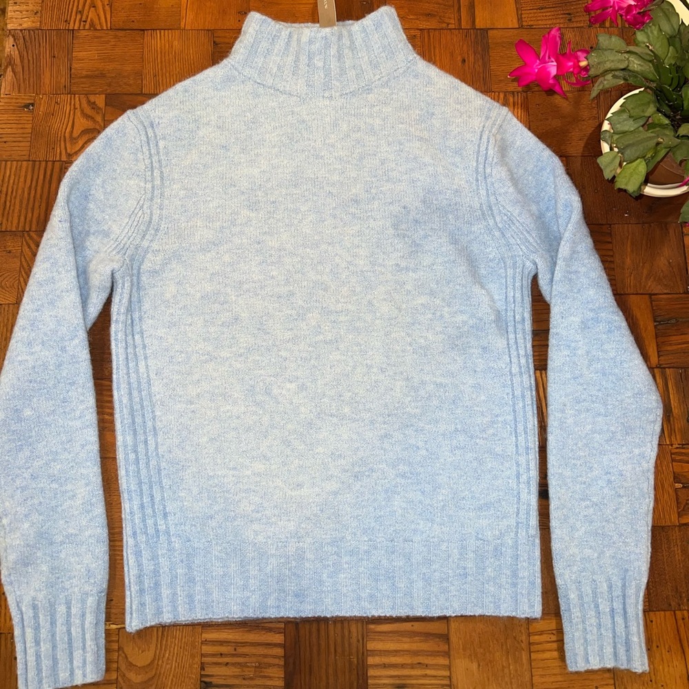 NWT J Crew Point Sur Turtleneck Sweater